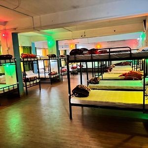 Single Bed Mixed Dormitory Room